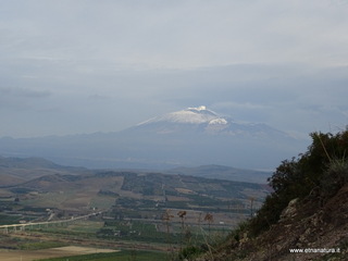 Monte Turcisi